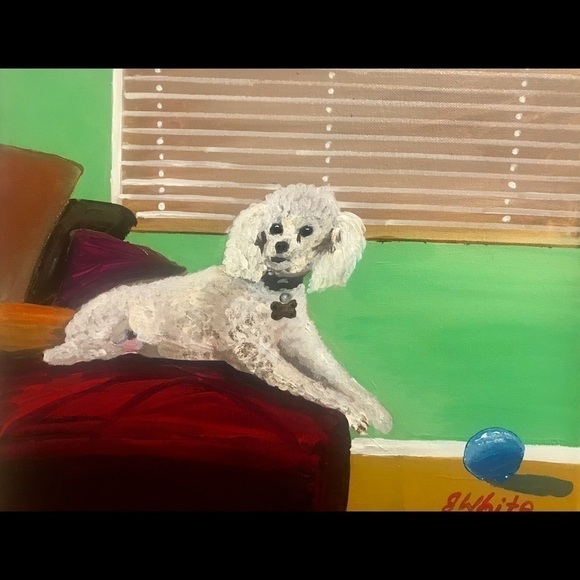 Other - JOSIE’S pet dog